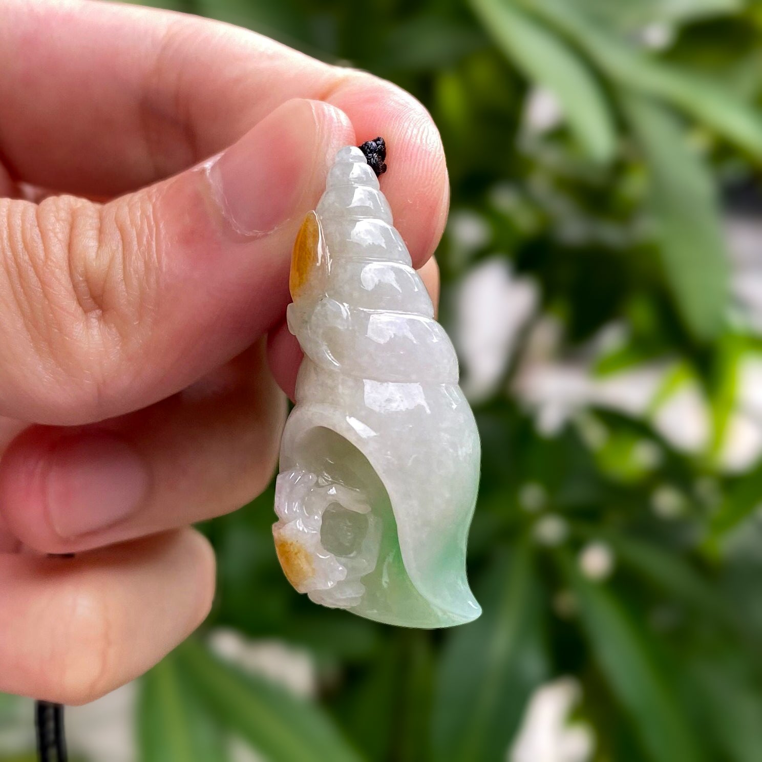 Gransky Tri-Colored Sea Shell Pendant - Handmade Ocean-Inspired Jewelry Gift