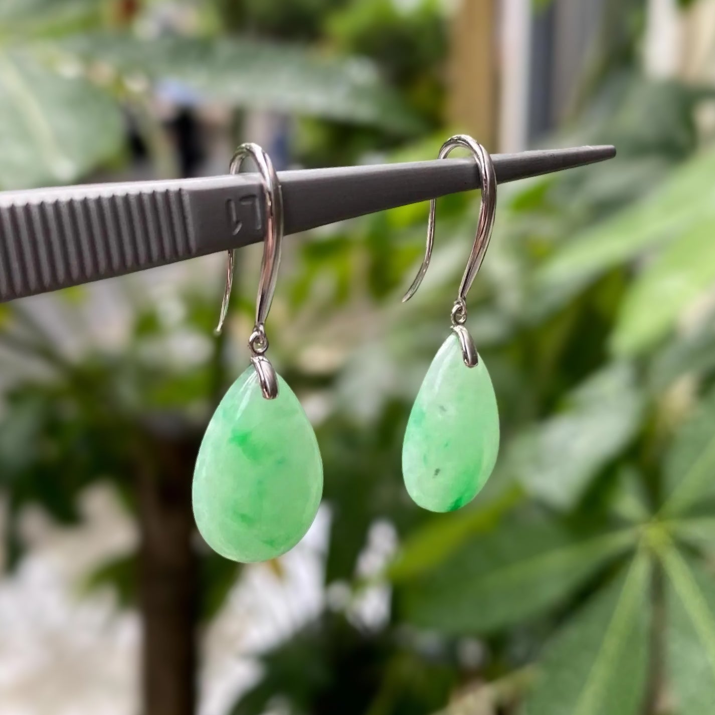 Apple Green Pear-Shaped Drop Jade Earrings in 18k White Gold