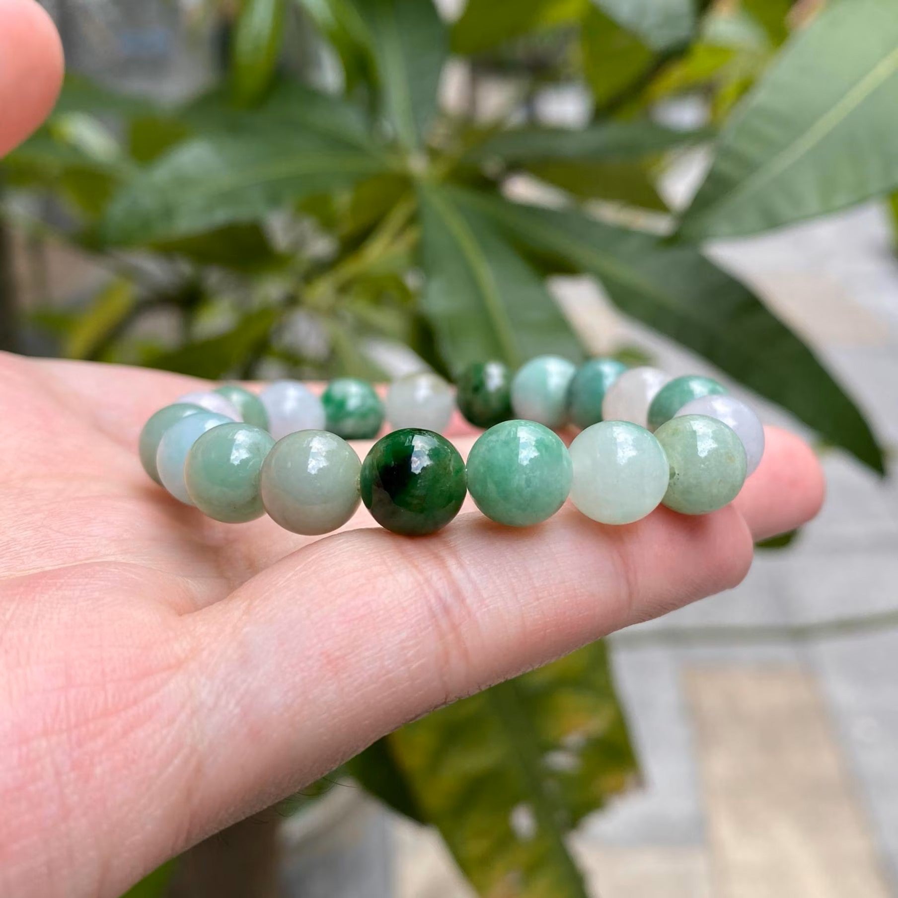 Gransky Multi-Color Type-A Burmese Jadeite Beaded Bracelet - 17cm