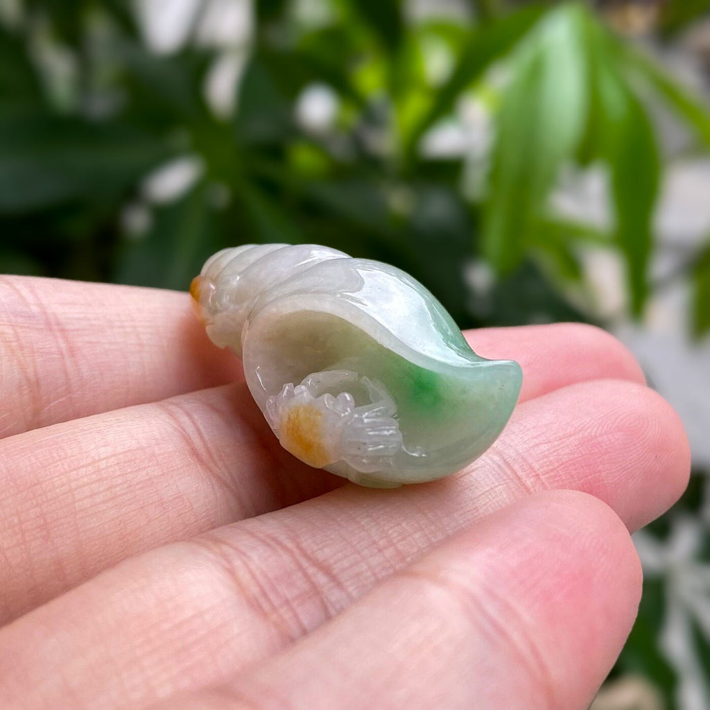 Gransky Tri-Colored Sea Shell Pendant - Handmade Ocean-Inspired Jewelry Gift